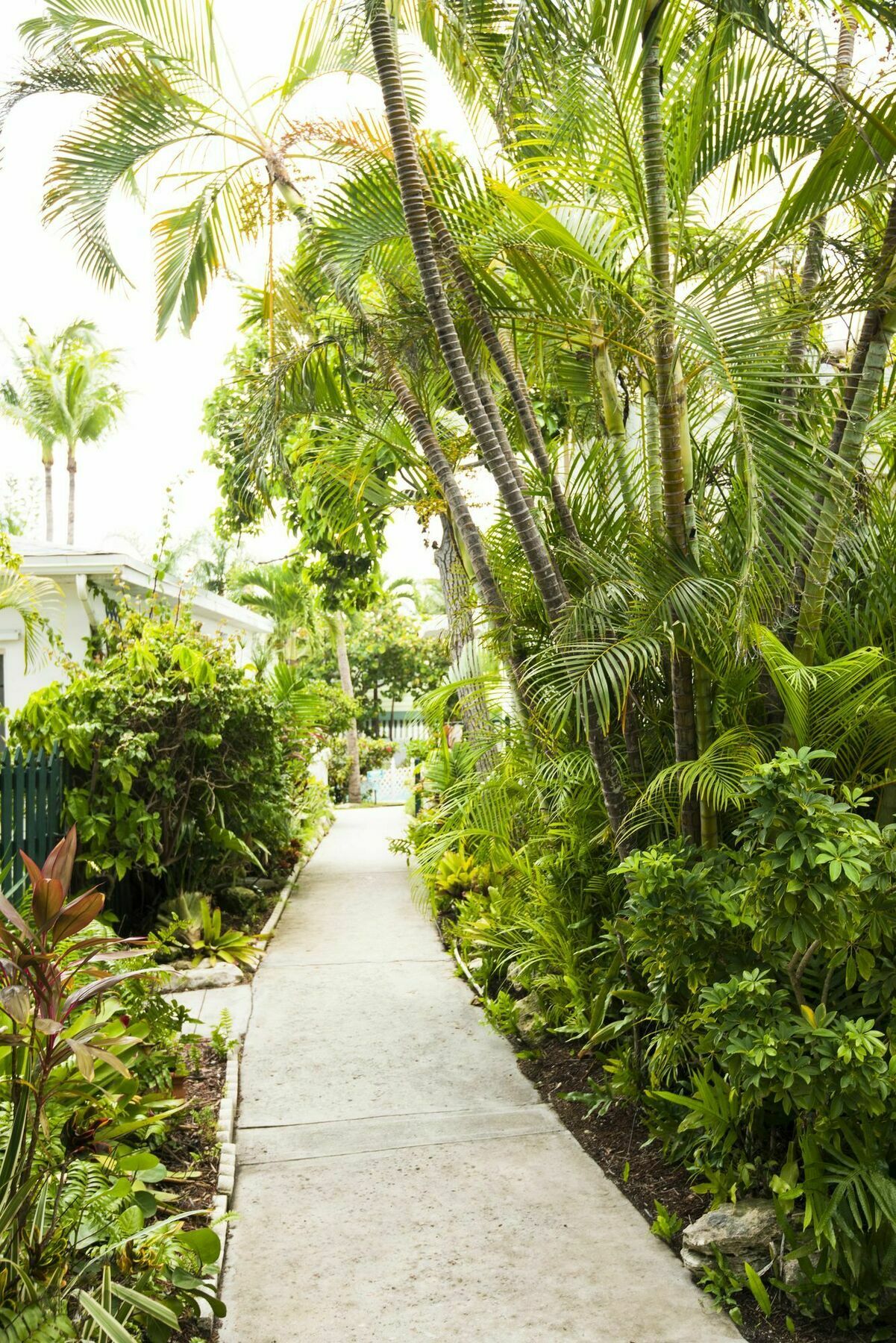 Bay View Suites Paradise Island Nassau Exterior photo